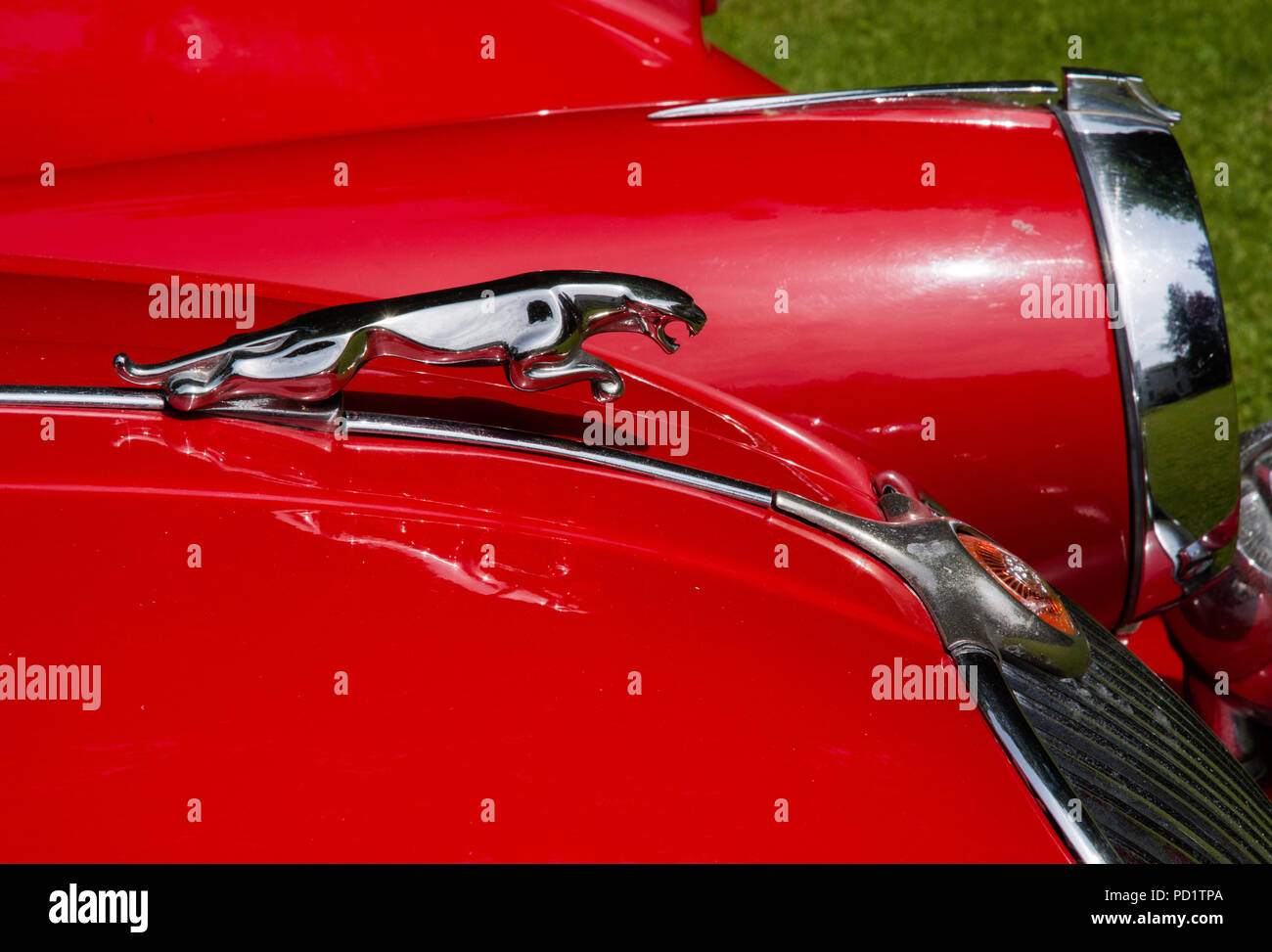 1959 red Jaguar XK 150 auf öffentliche Anzeige auf Rasen Stockfoto
