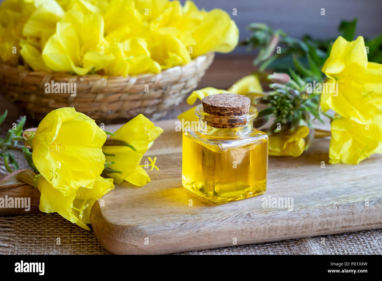 Eine Flasche Nachtkerzenöl und Frische blühende Pflanze Stockfoto