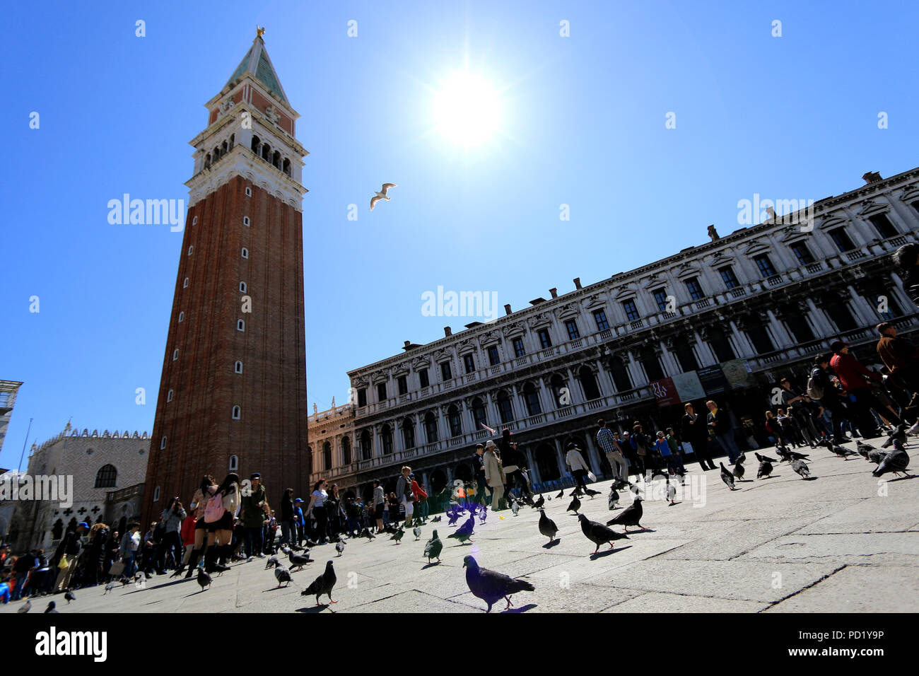 Das Campanile und die procuratie an der Piazza San Marco in Venedig, Italien Stockfoto