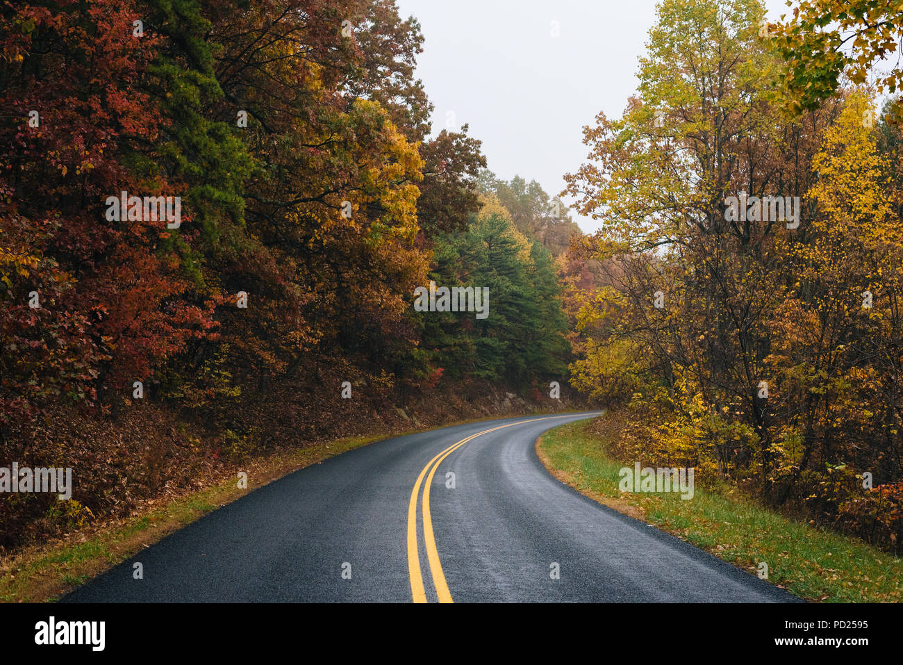 Herbst Farbe entlang der Blue Ridge Parkway, Virginia. Stockfoto