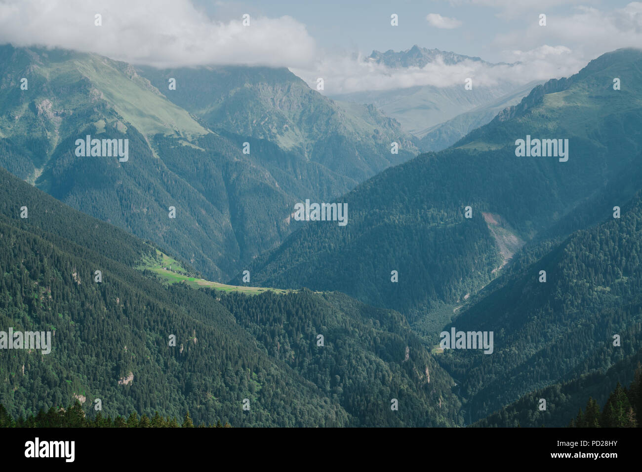 Kackar Berge mit grünen Wald landscapei n Rize, Türkei Stockfoto