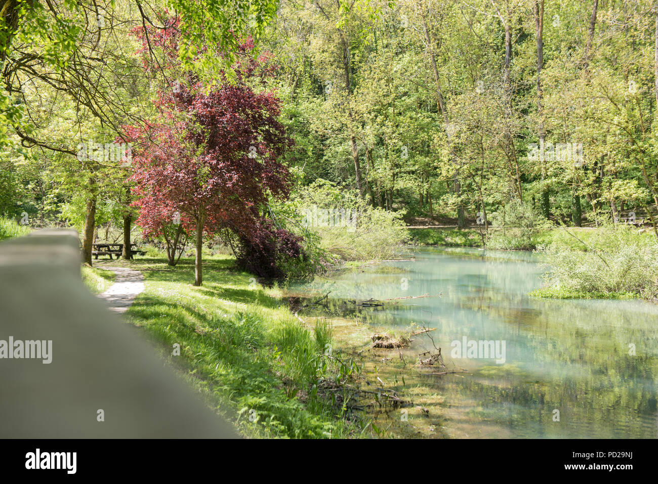 Geburt des Ebro in El Astillero, Cantabrial, Spanien Stockfoto