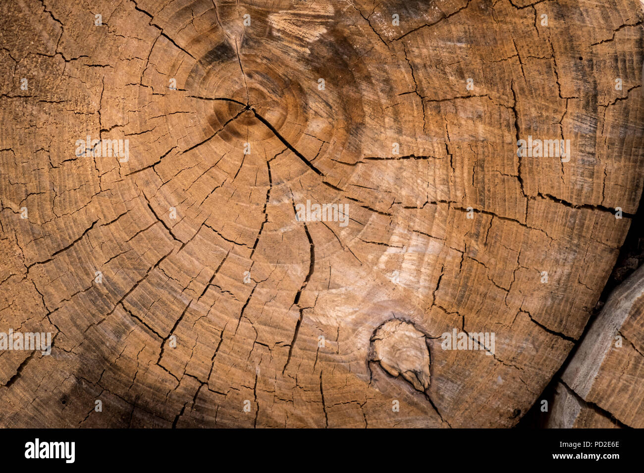 Risse in holz -Fotos und -Bildmaterial in hoher Auflösung – Alamy