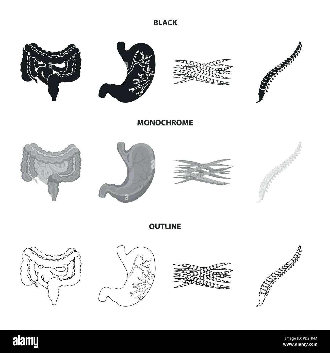 Darm, Magen, Muskeln, Wirbelsäule. Organe set Sammlung Icons in Schwarz, monochrom, Outline