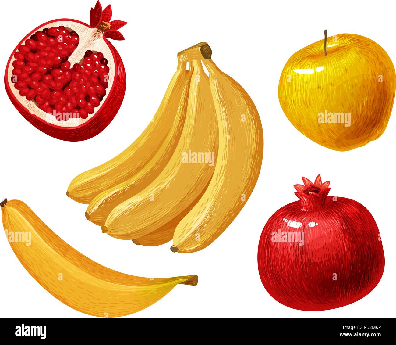 Früchten wie Banane, Apfel, Granatapfel. Vector Illustration Stock Vektor