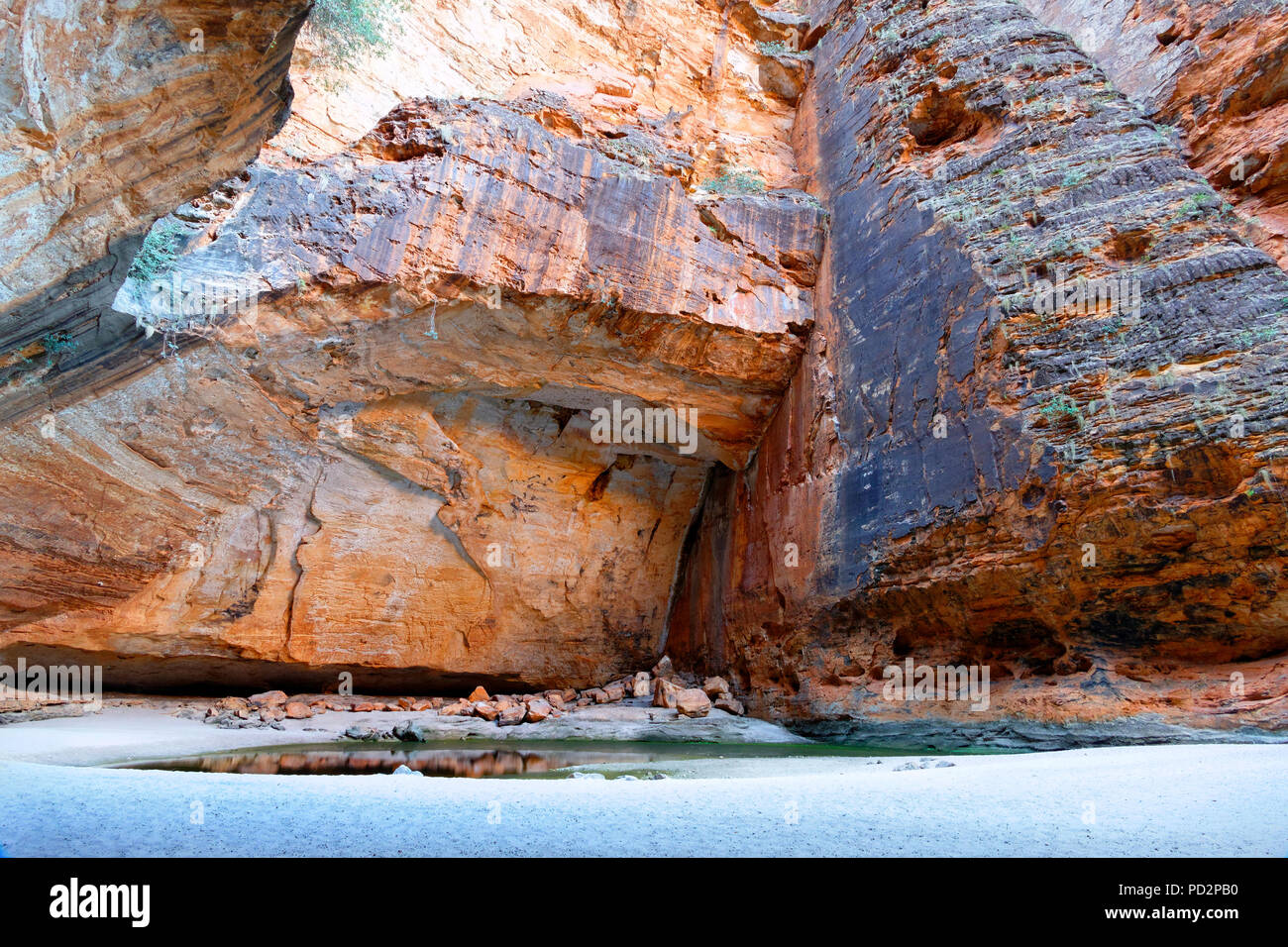 Sandstein Felsformationen im Cathedral Gorge Purnululu National Park, Kimberley, Nordwesten Australien Stockfoto