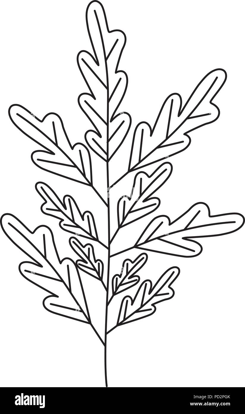 Ast mit Blätter ökologie Symbol Alamy