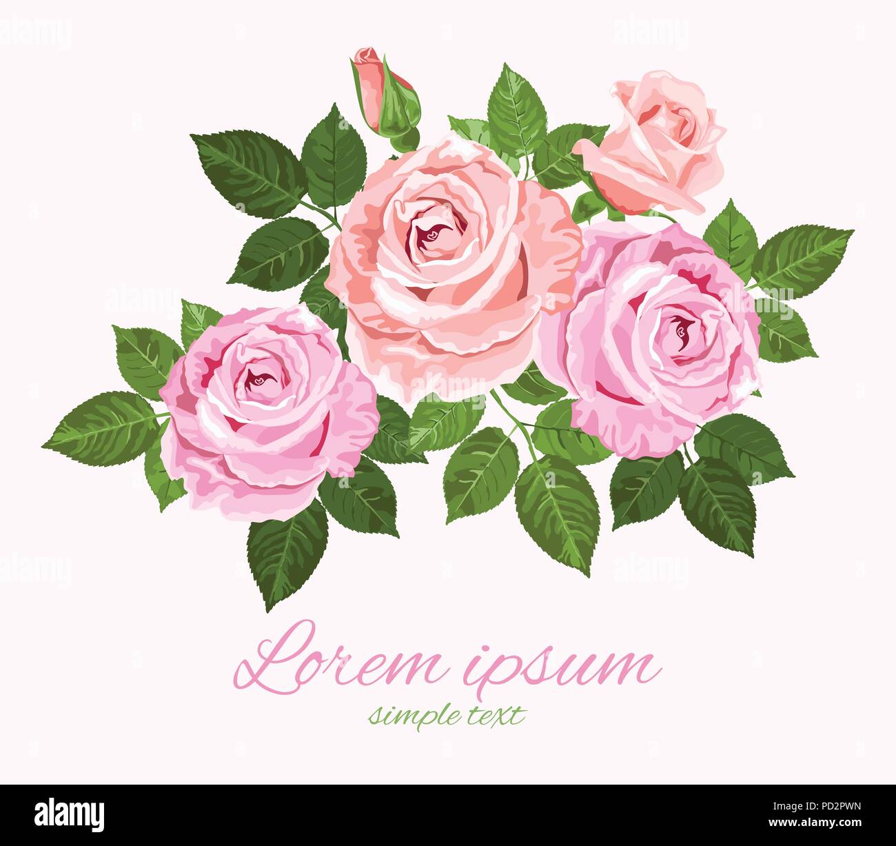 Vektor Rosa und Beige Rosen mit grünen Blättern auf den weißen Hintergrund hochzeit einladung Stock Vektor