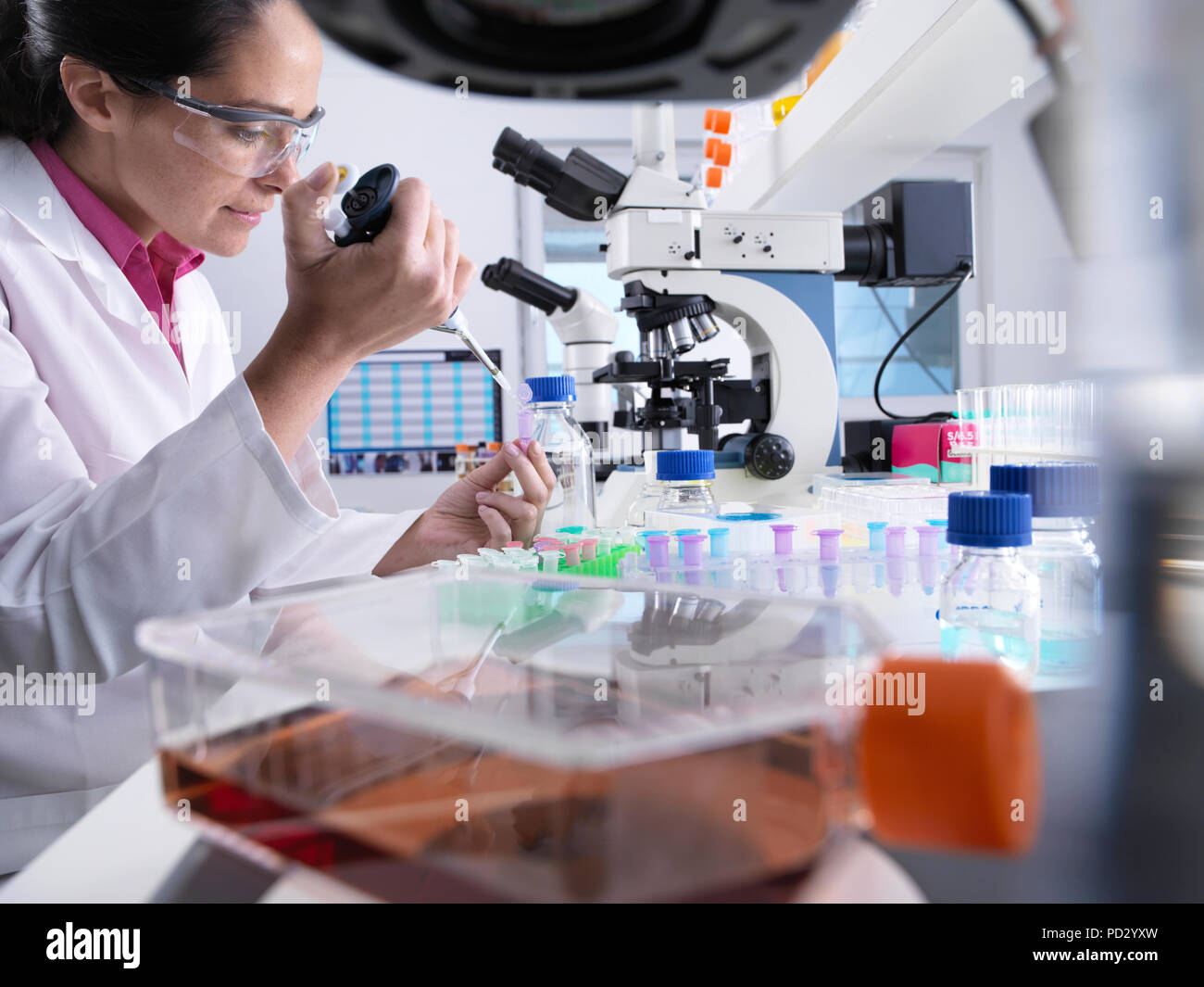 Wissenschaftler pipettieren Probe in die Durchstechflasche bei Versuch, bereit für einen Test mit dem Kolben Zellen enthalten, im Vordergrund. Stockfoto