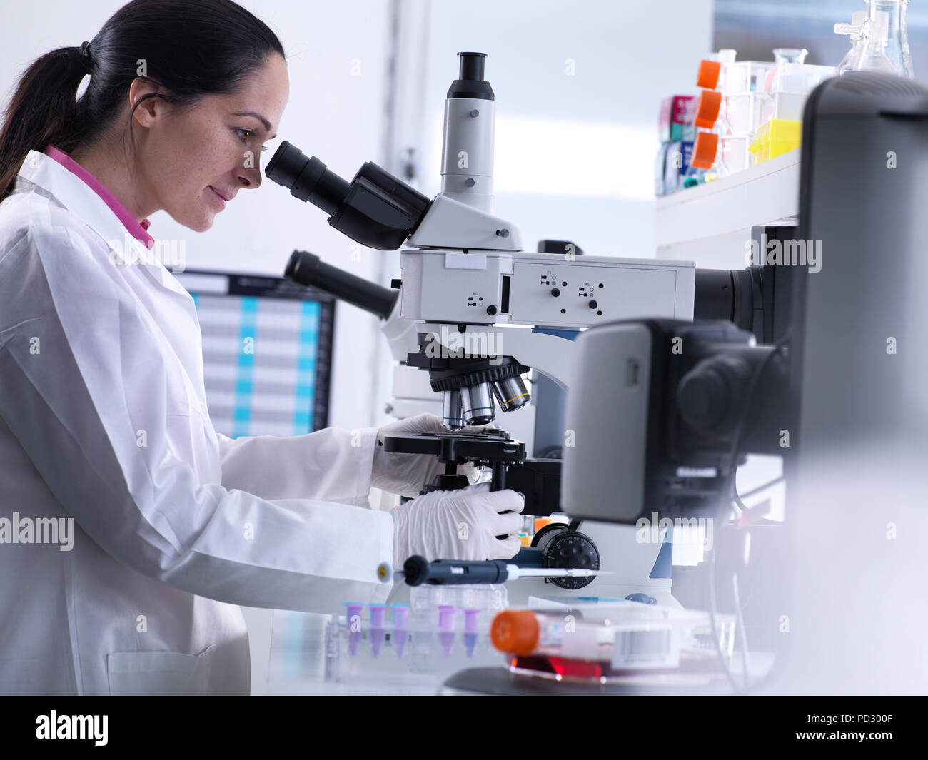 Menschliches Haar Unter Dem Mikroskop Stockfotos und -bilder Kaufen - Alamy