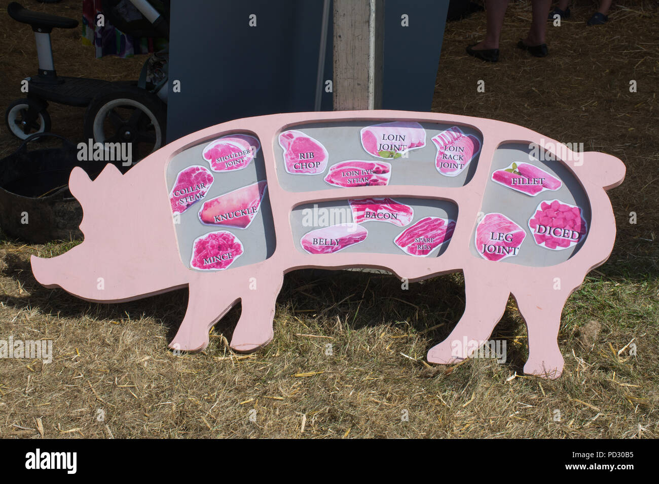 Modell eines Schweins, das die verschiedenen Gelenke auf der Countryfile Live 2018-Show zeigt, Großbritannien Stockfoto