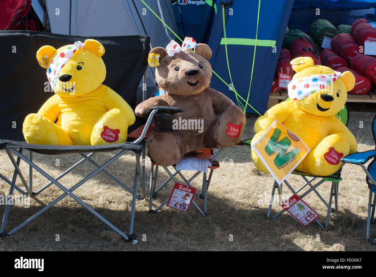 Pudsey Bears auf der Countryfile Live 2018 Show, Großbritannien, ausgestellt Stockfoto