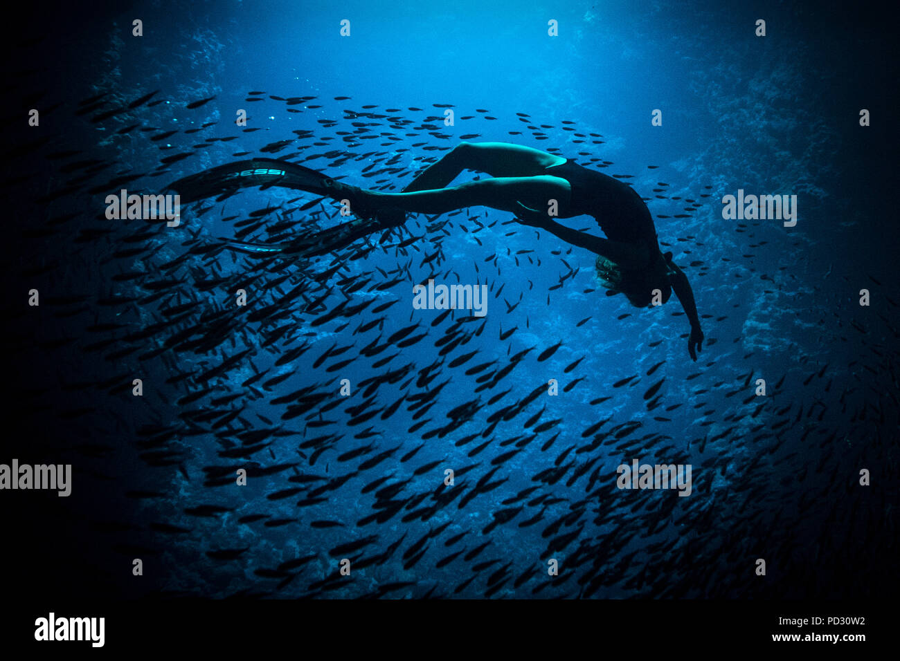 Frau Freitauchen, Unterwasser, Schlucken Höhle, Vavau, Tonga, Fidschi Stockfoto