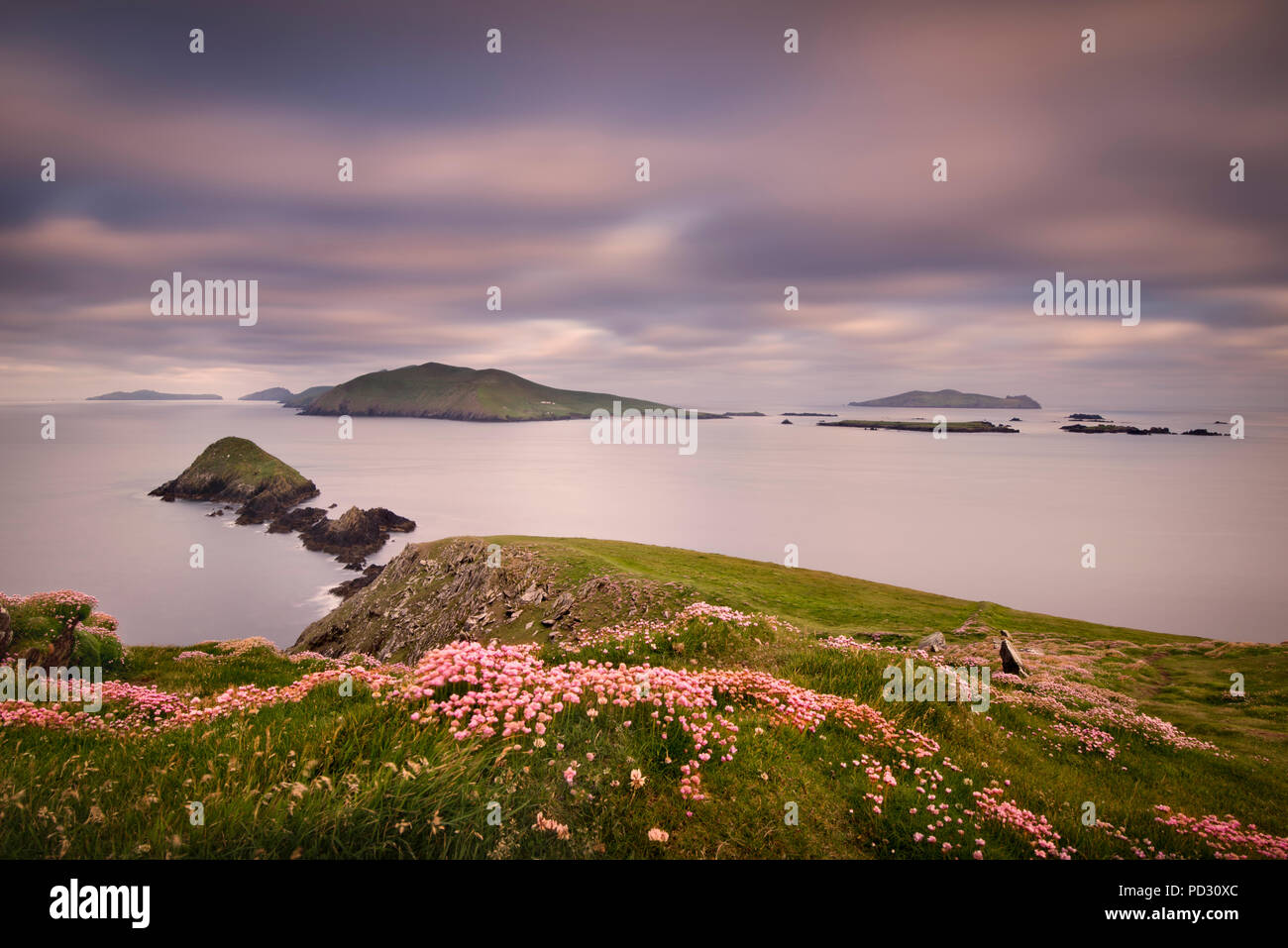 Dunmore Head und Blasket Islands, Dingle, Kerry, Irland Stockfoto
