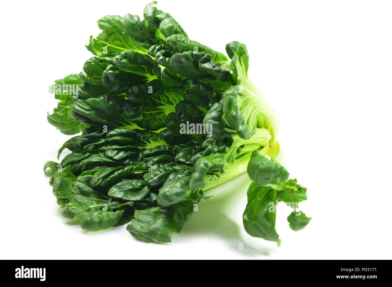 Chinesische flachbild Kohl (Brassica chinensis) oder Tah Tsai Kopfsalat isoliert auf weißem Stockfoto