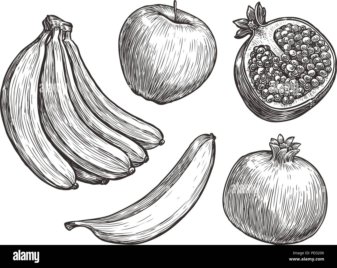 Früchten wie Banane, Apfel, Granatapfel. Skizze Vector Illustration Stock Vektor