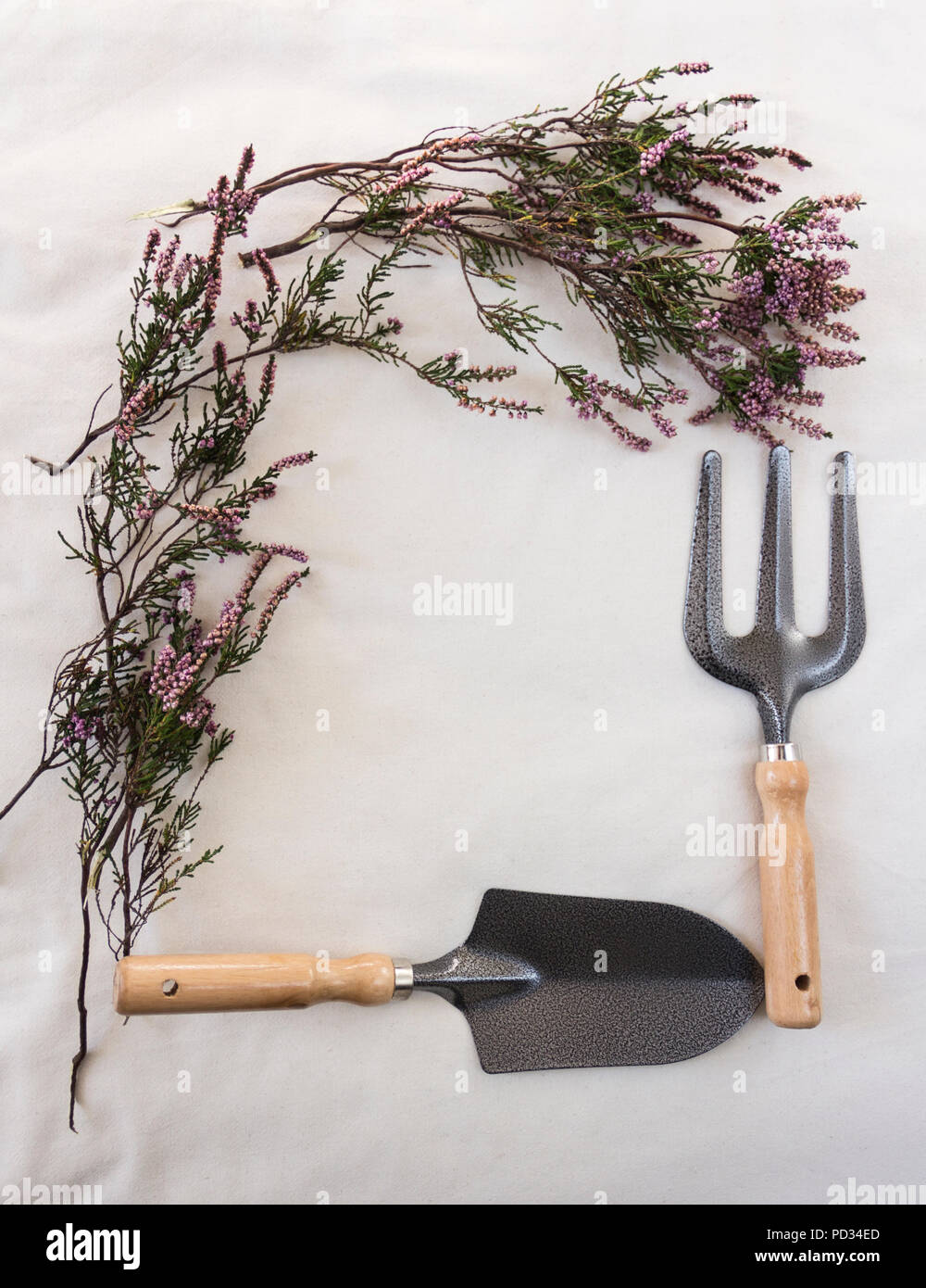 Lila Herbst Heidekraut (Erica) Rahmen mit Garten Werkzeuge - hand Gabel und Hand Kelle auf ecru Stück rohen Baumwollgewebe. Stockfoto