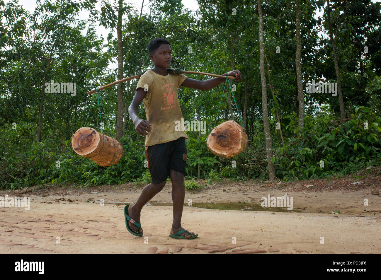 COX'S BAZAR, BANGLADESCH - AUGUST 04: Rohingya Jungen sammeln Holz vom Dschungel in der Nähe der Flüchtlingslager in Cox's Bazar, Bangladesch am August 04, 2018. Stockfoto