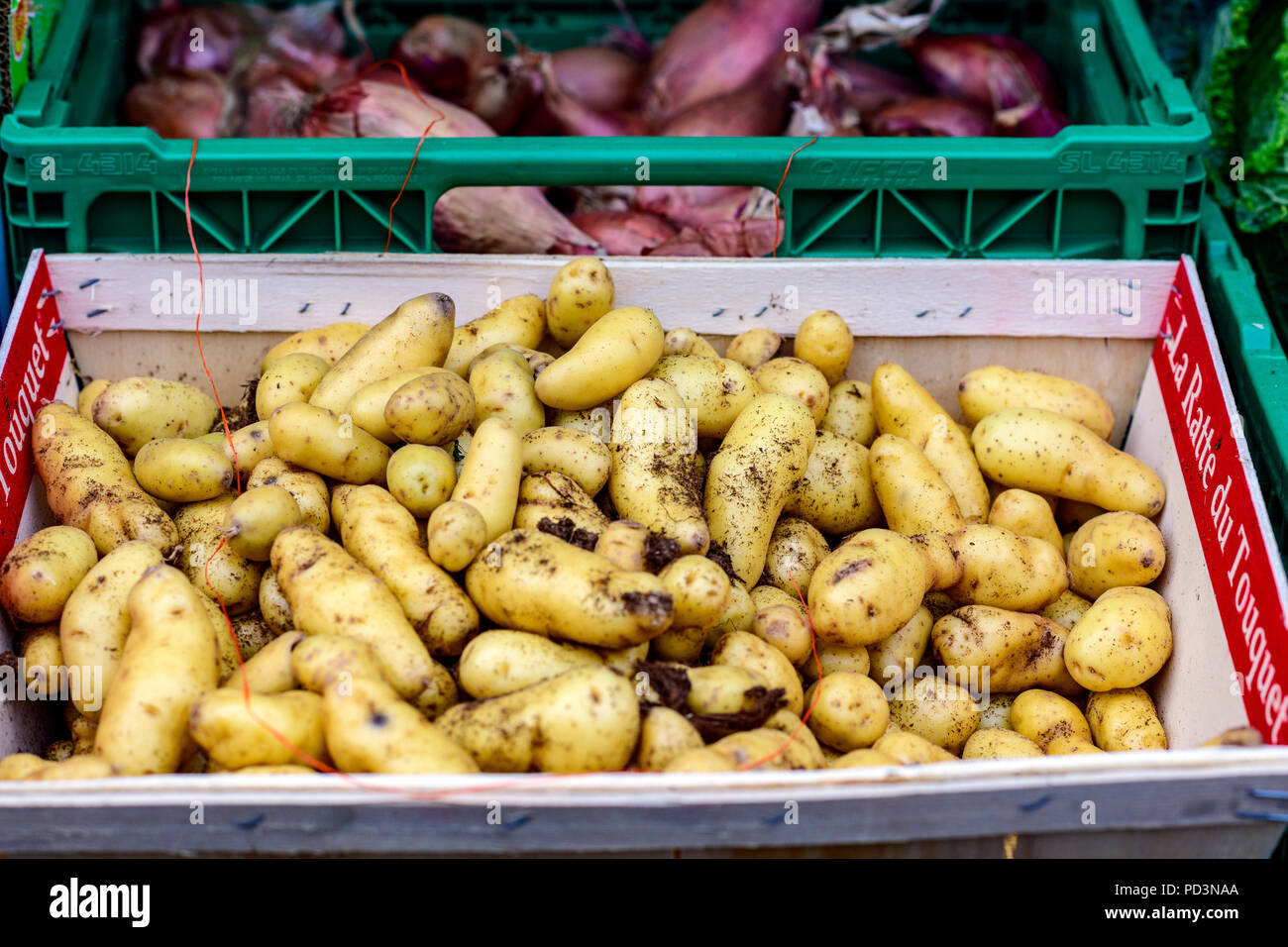 La Ratte du Touquet Kartoffeln in der Kiste für Verkauf, Lebensmittelgeschäft, Straßburg, Elsass, Frankreich, Europa, Stockfoto