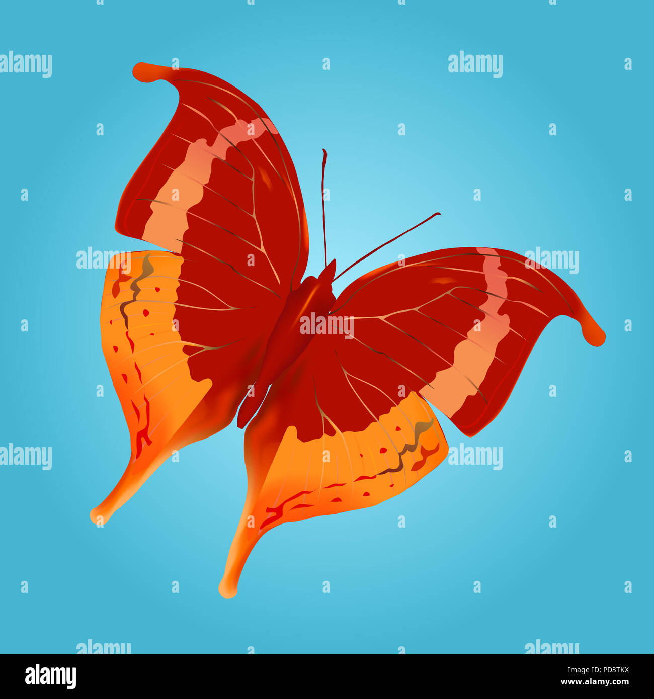 Der Schmetterling. Vektor. Mesh. Stockfoto