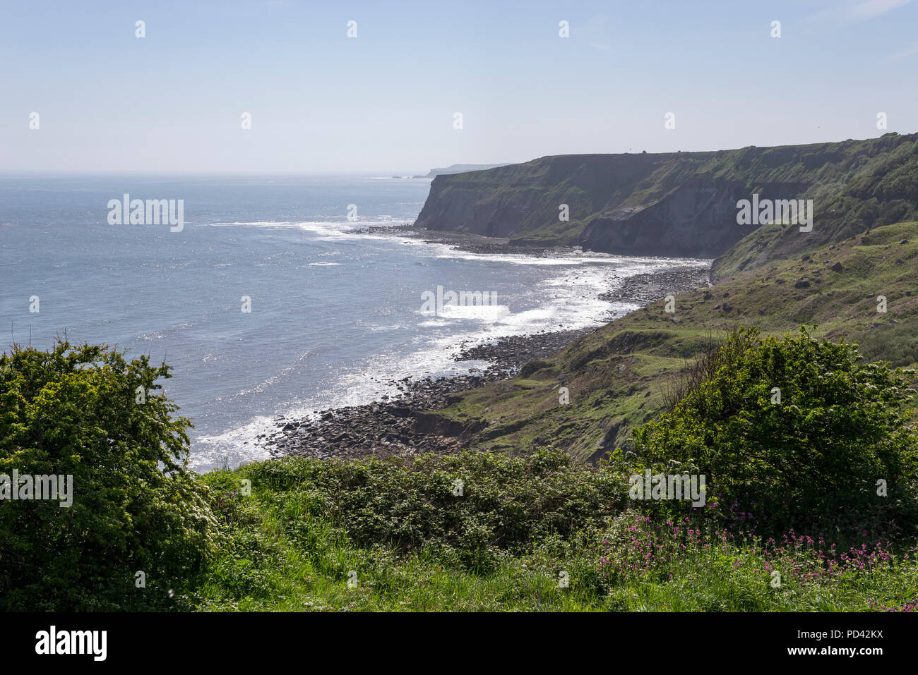 Wunderschöne Küste auf dem Cleveland Weise Coast Path zwischen Kettleness und Sandsend in North Yorkshire, England. Stockfoto