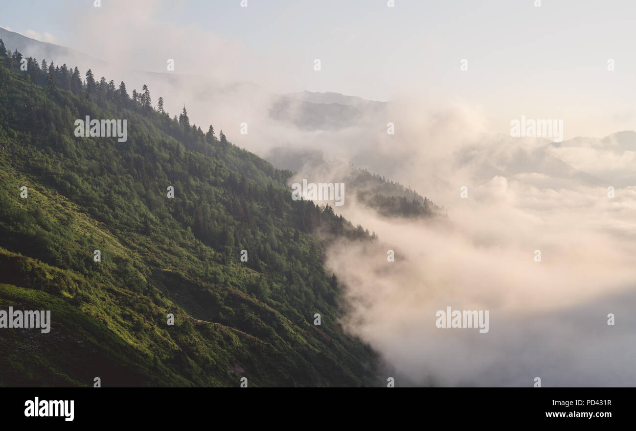 Berg silhouette Über den Wolken bei Sonnenaufgang, Blick von oben Blick auf die Berge. Rize, Türkei. Stockfoto