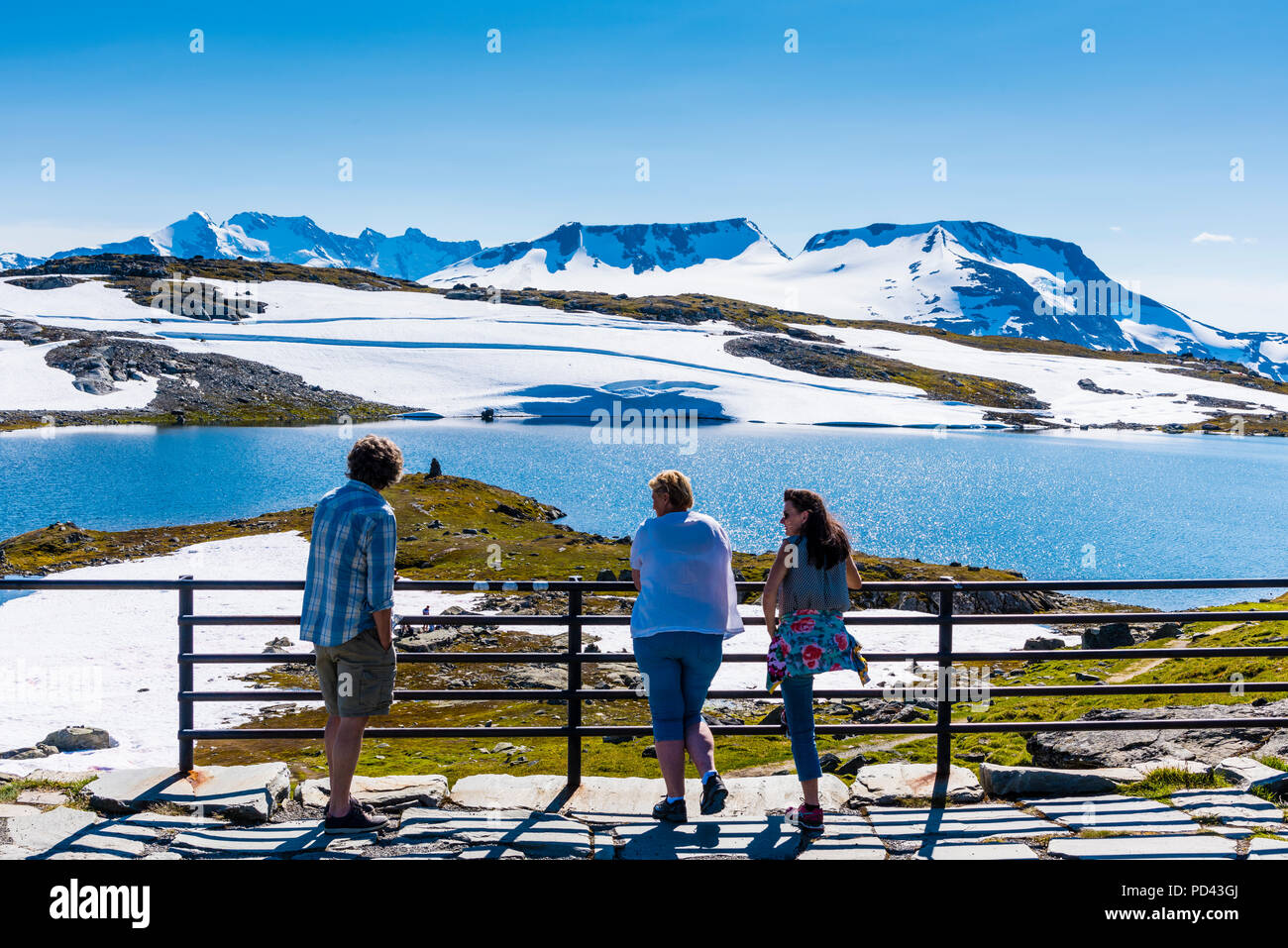 Sommer in den Bergen Norwegens, noch mit Schnee und Gletschern. Stockfoto