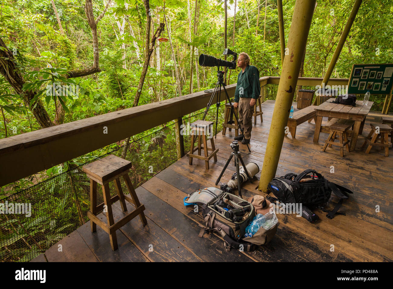 Naturfotograf im Rainforest Discovery Centre, Gamboa, Republik Panama. Stockfoto