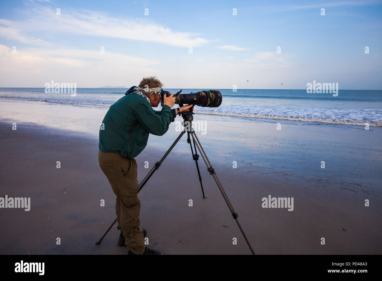 Naturfotograf mit großen Teleobjektiv bei Punta Chame an der Pazifischen Küste, Republik Panama. Stockfoto
