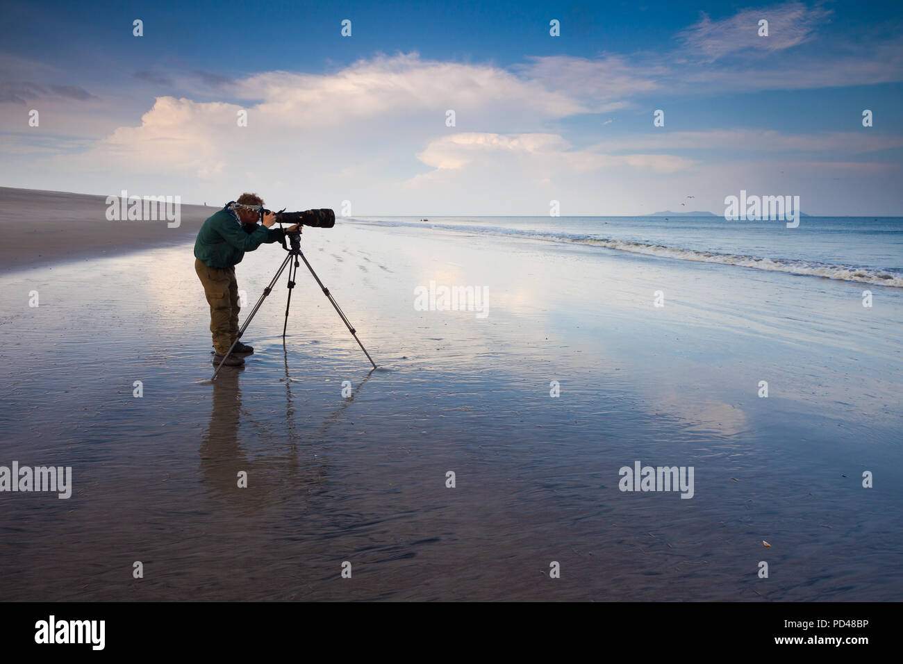 Naturfotograf mit großen Teleobjektiv bei Punta Chame an der Pazifischen Küste, Republik Panama. Stockfoto