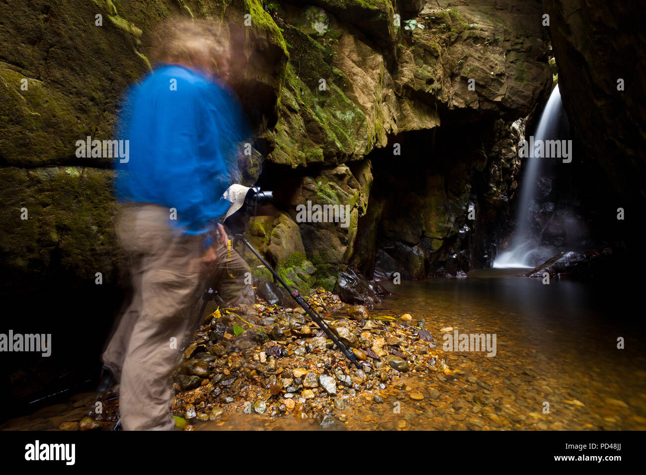 Outdoor Photographer Bilder bei Chorro las Yayas, Provinz Cocle, Republik Panama. Stockfoto