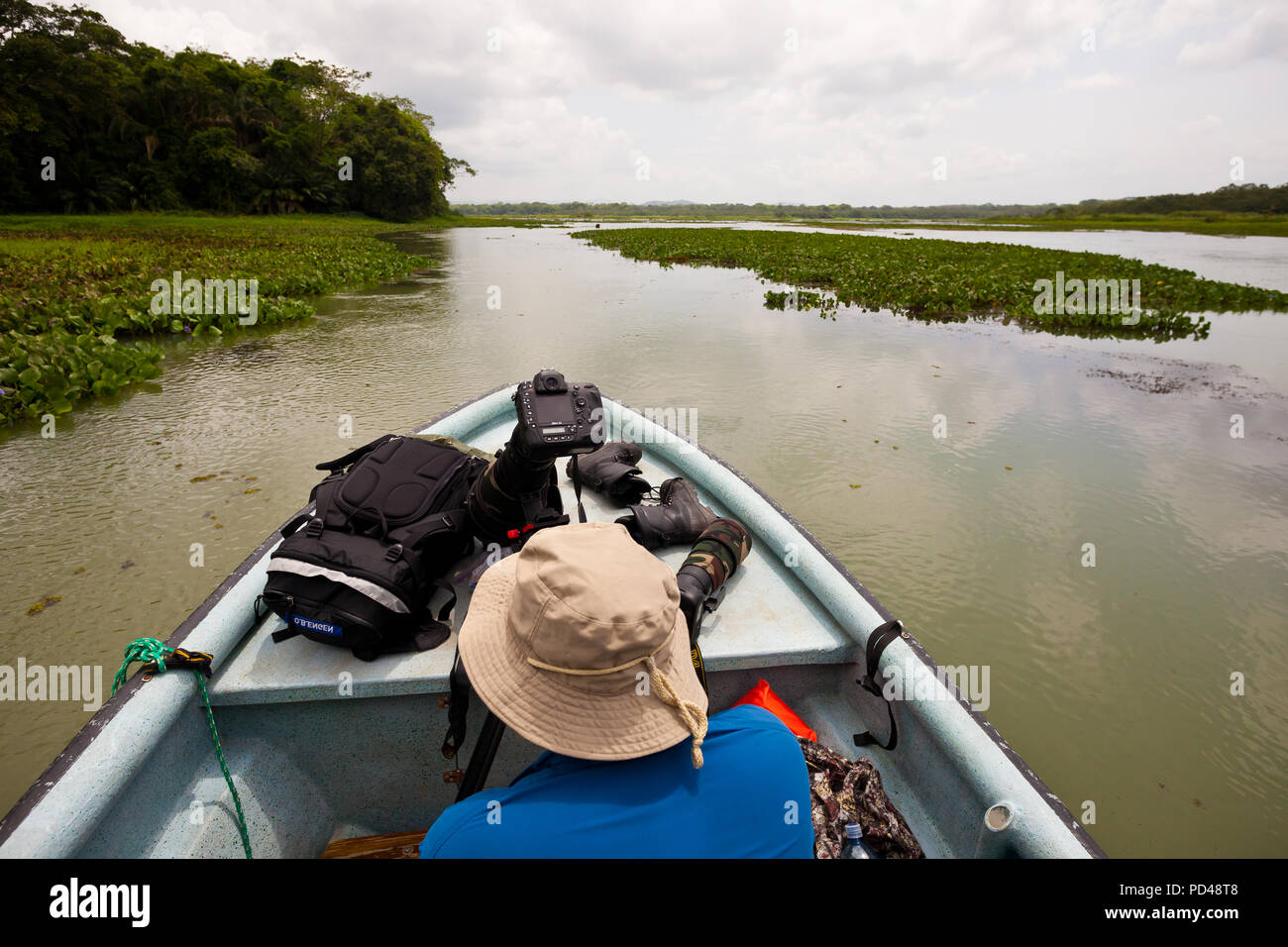 Outdoor Fotograf die Erkundung des Rio Chagres und die umliegenden Regenwald, Republik Panama. Stockfoto