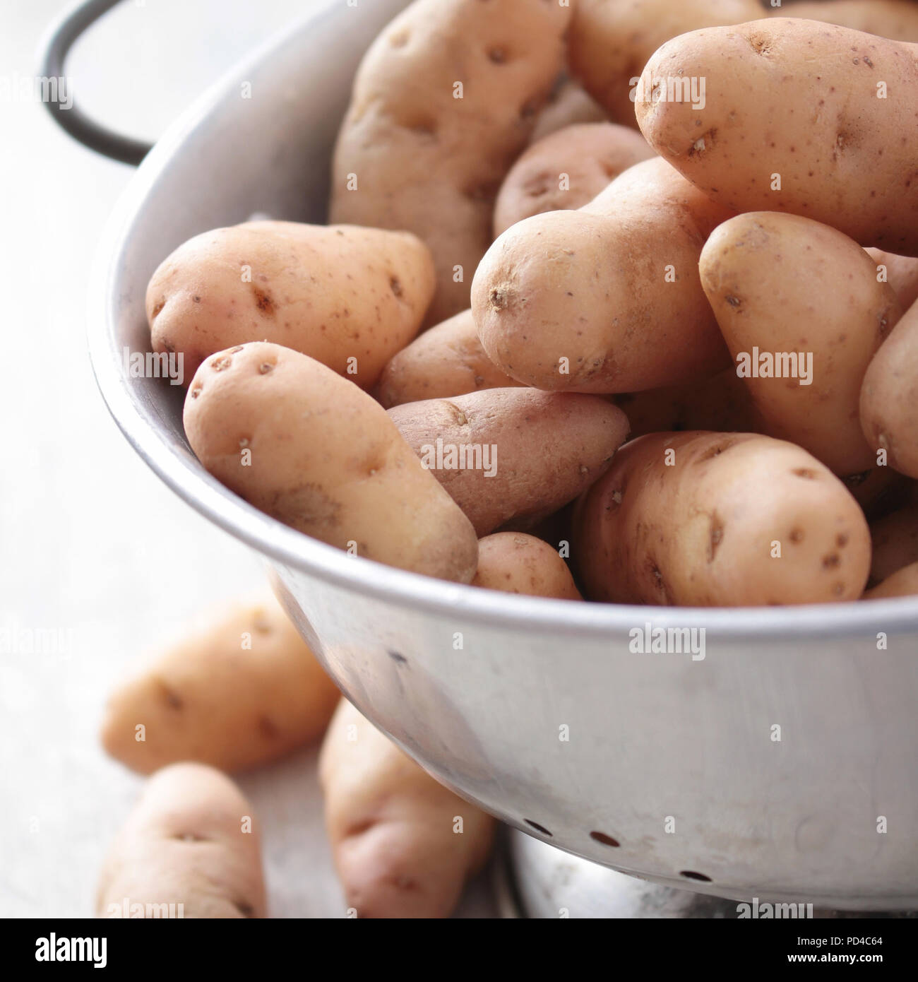 Vorbereitung von frischen Kartoffeln Stockfoto