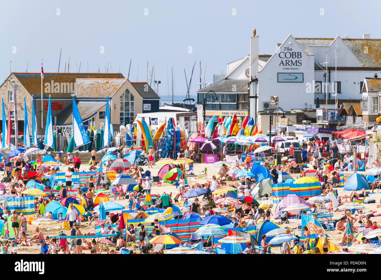 Lyme Regis Strand an einem heißen sonnigen Tag im Sommer, Dorset, Großbritannien. Stockfoto