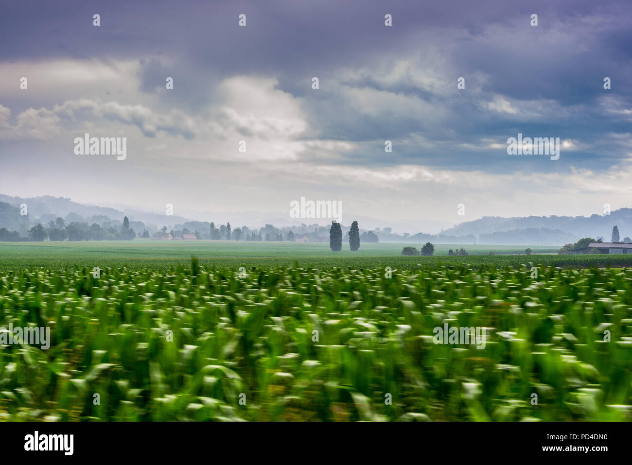 Schuß von Feldern in der Nähe von arzacq Frankreich genommen Stockfoto