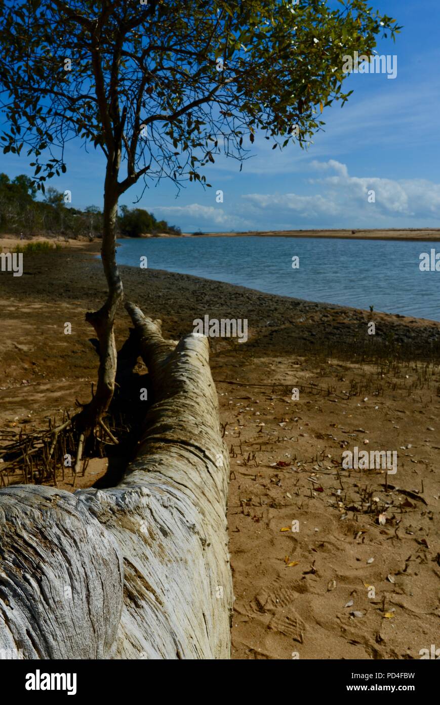 Strand Szenen aus Toomula, Queensland, Australien Stockfoto