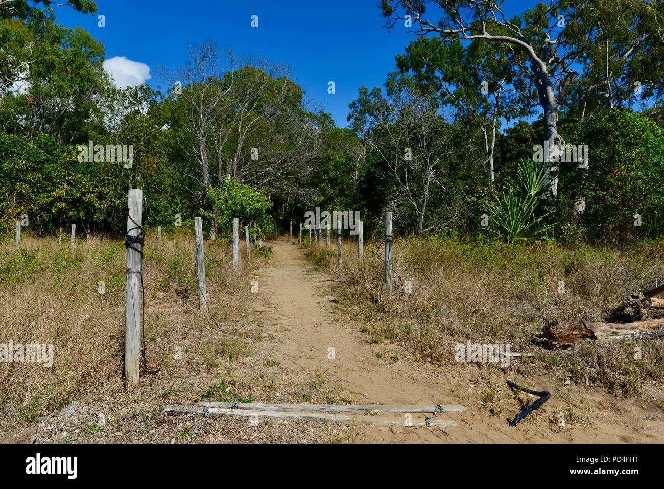 Fußweg zum Strand, Toomulla QLD, Australia Stockfoto