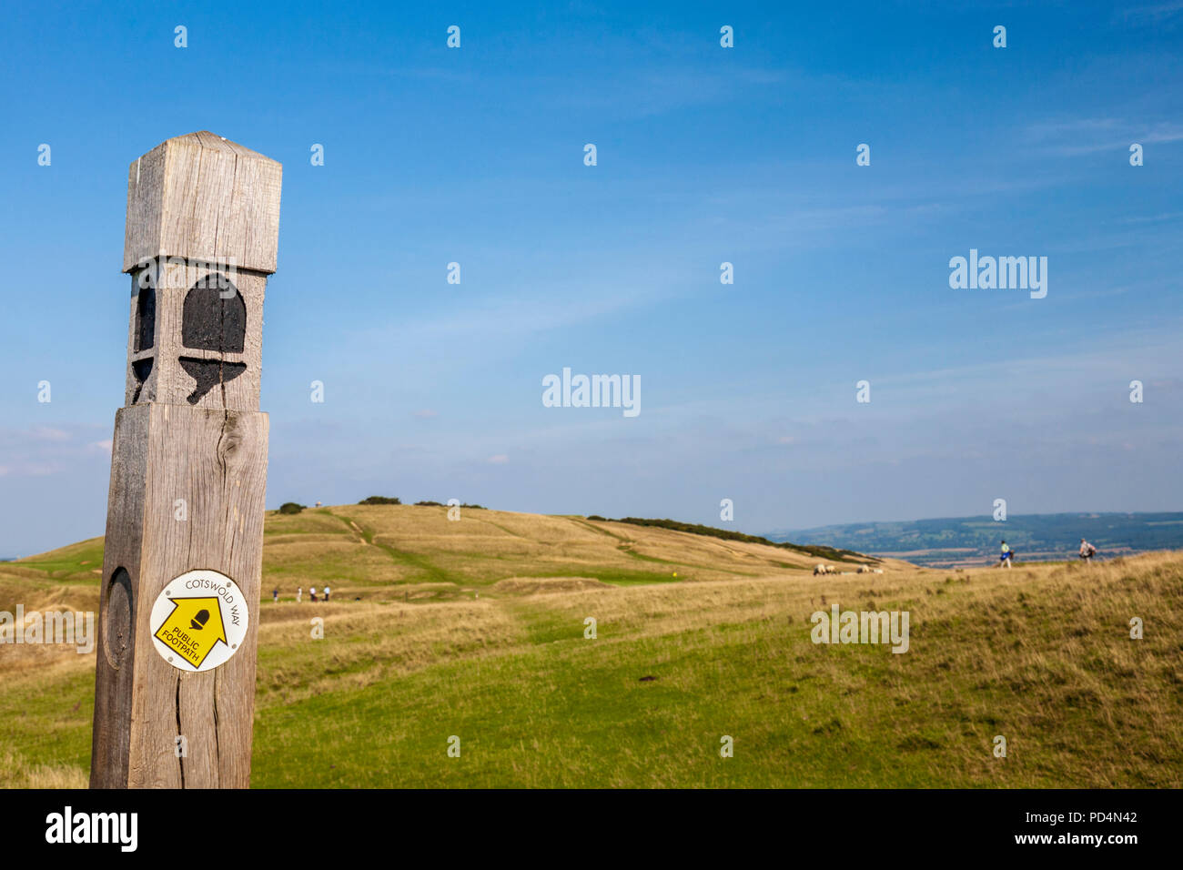 Die Cotswold Way Trail über Cleeve Hill Golf Course, Gloucestershire, England Stockfoto