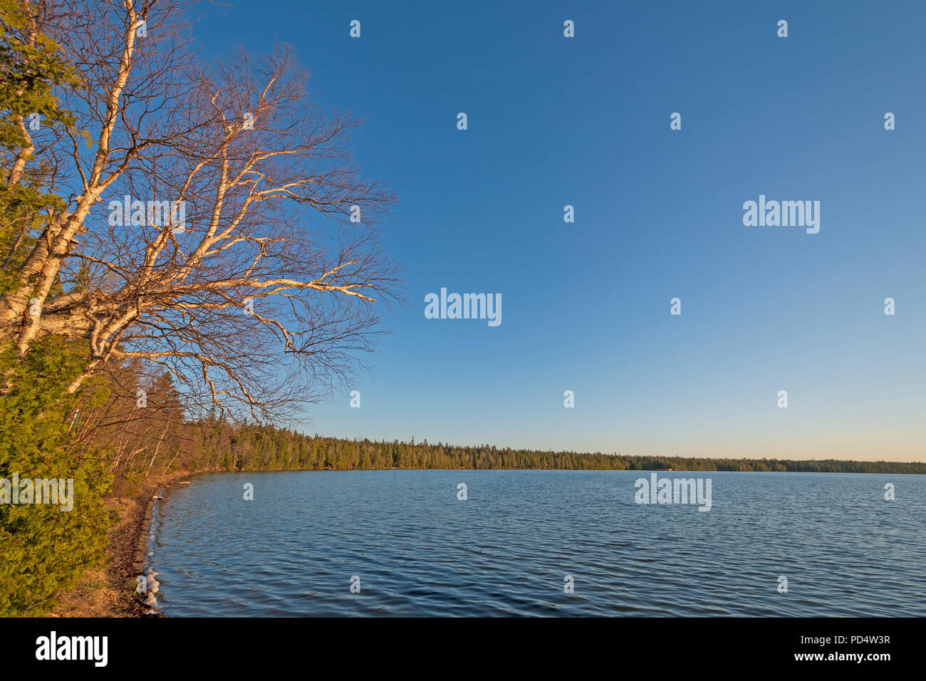 Abend auf einer North Woods See auf Zypern See in Bruce Peninsula National Park in Ontario Stockfoto