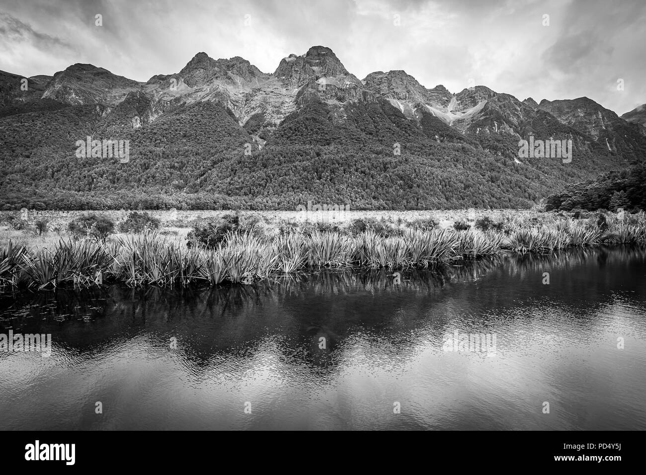 Fjordland National Park, Neuseeland Stockfoto