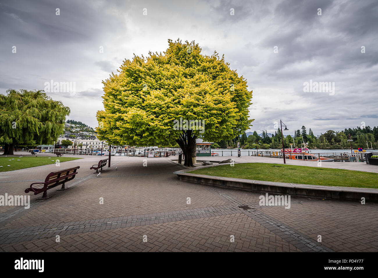 Earnslaw Park, Queenstown Stockfoto