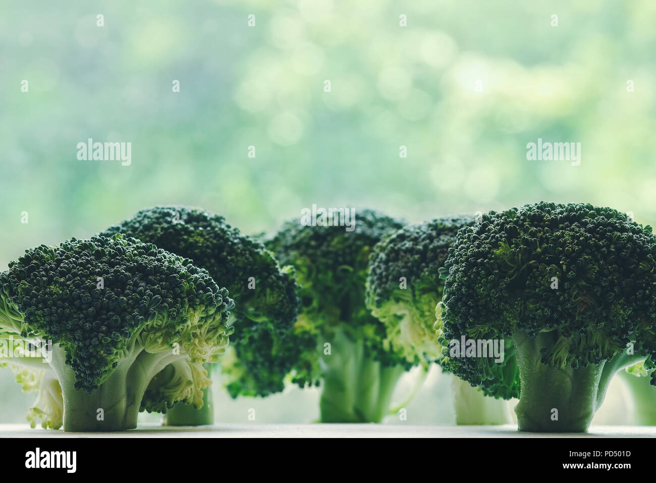 Brokkoliröschen übersichtlich suchen wie kleine Bäume, mit Pastell grün bokeh Hintergrund Stockfoto
