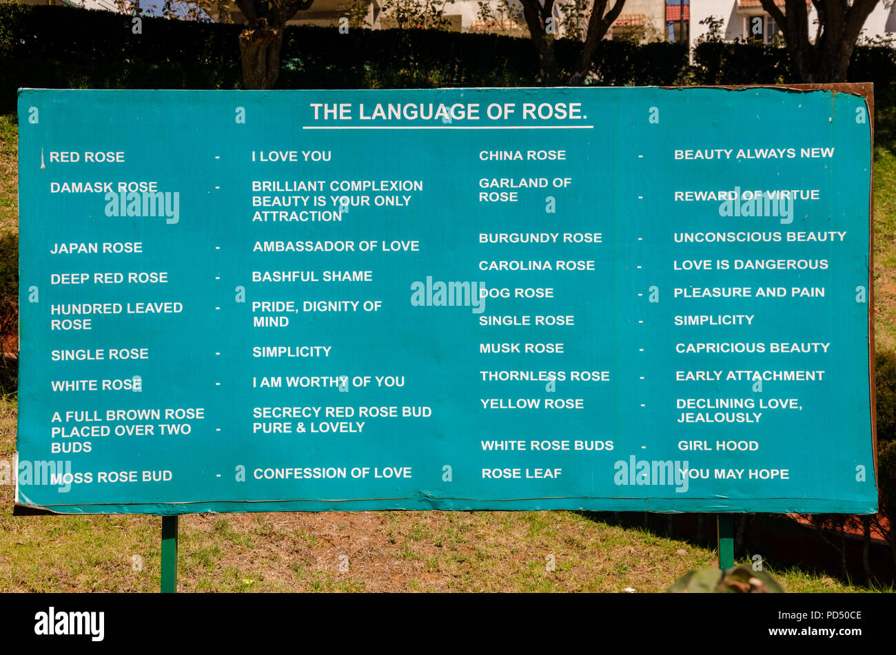 "Die Sprache der Rose' Board Information der Menschen über die Bedeutung von Rosen, in der Regierung Rose Garden in Ooty, Tamil Nadu, Indien errichtet. Stockfoto