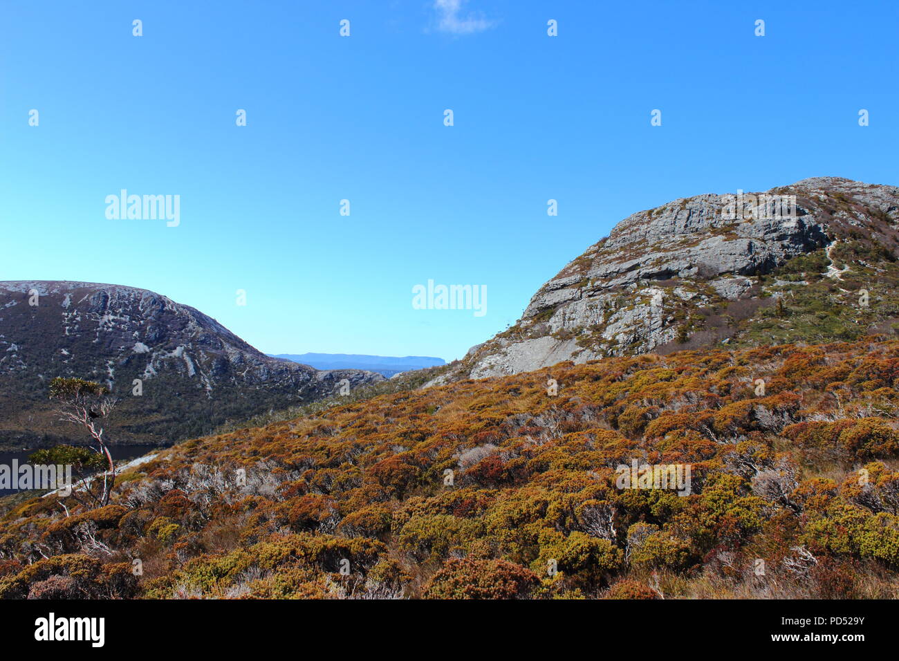 Cradle Mountain wandern Stockfoto