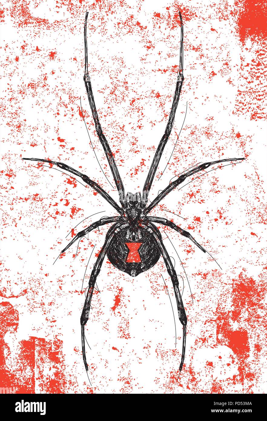 Schwarze Witwe. Ein Black Widow spider über einen abstrakten Hintergrund. Stock Vektor