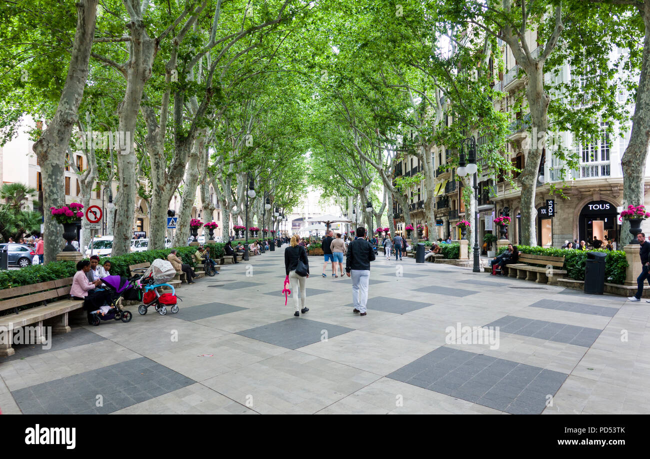 Geboren Boulevard in Palma de Mallorca ist ein Resort Stadt und Hauptstadt der spanischen Insel Mallorca (Mallorca), im westlichen Mittelmeer. Die massiv Stockfoto