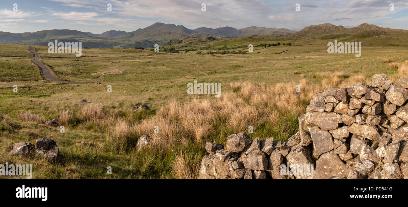 Mit Blick auf Birker fiel hinter einer niedrigen Trockenmauern Mauer, die einst Teil der war wahrscheinlich ein Schafstall gebildet. Stockfoto
