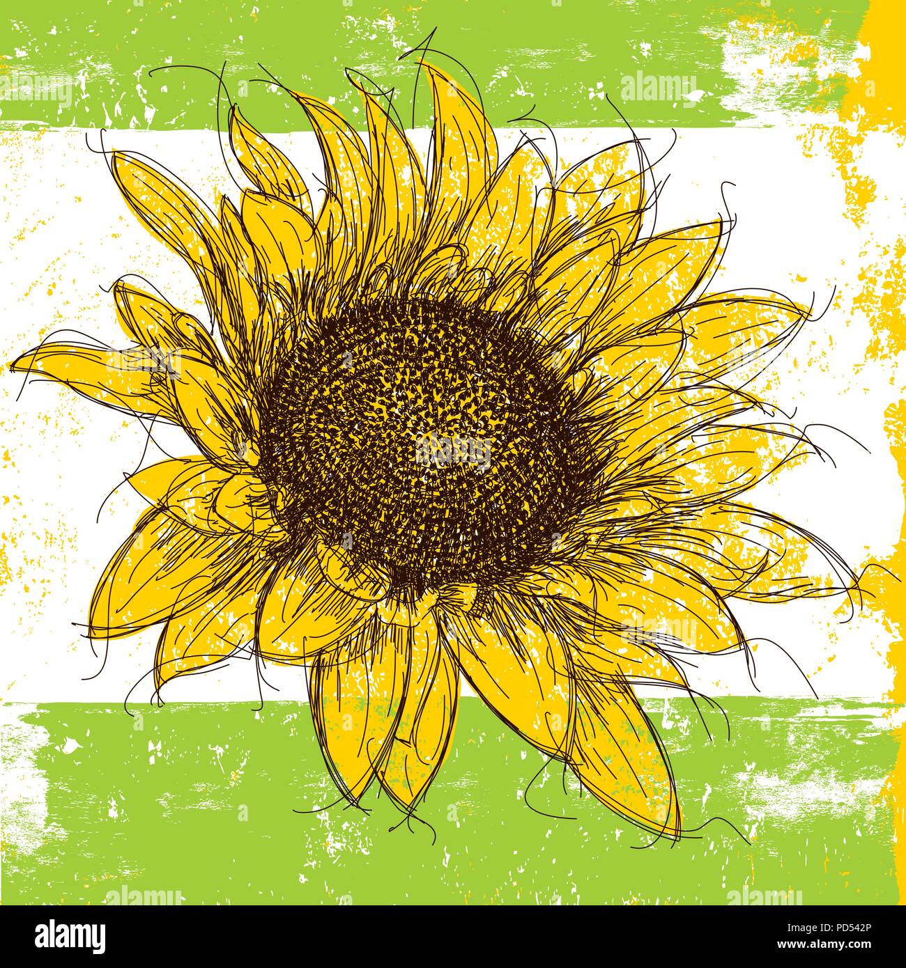 Sonnenblume sonnenblume Sketchy über einen abstrakten Hintergrund. Stock Vektor