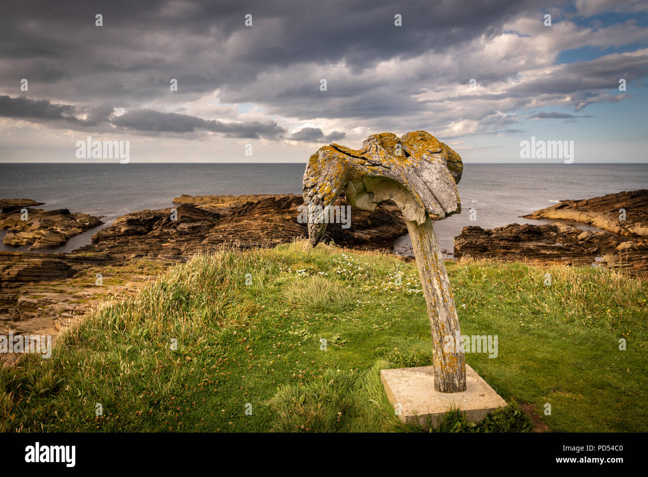 Die walknochen Skulptur an skipi Geo, Birsay, Orkney Stockfoto