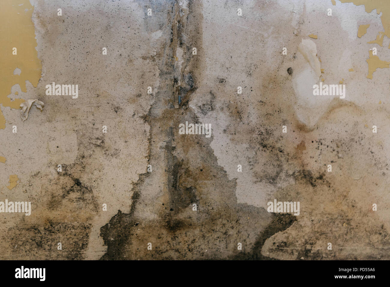 Die alte Wand im Badezimmer ist mit Schimmel im Zimmer zu feuchte Die alte Wand im Badezimmer ist mit Schimmel im Zimmer zu feuchte